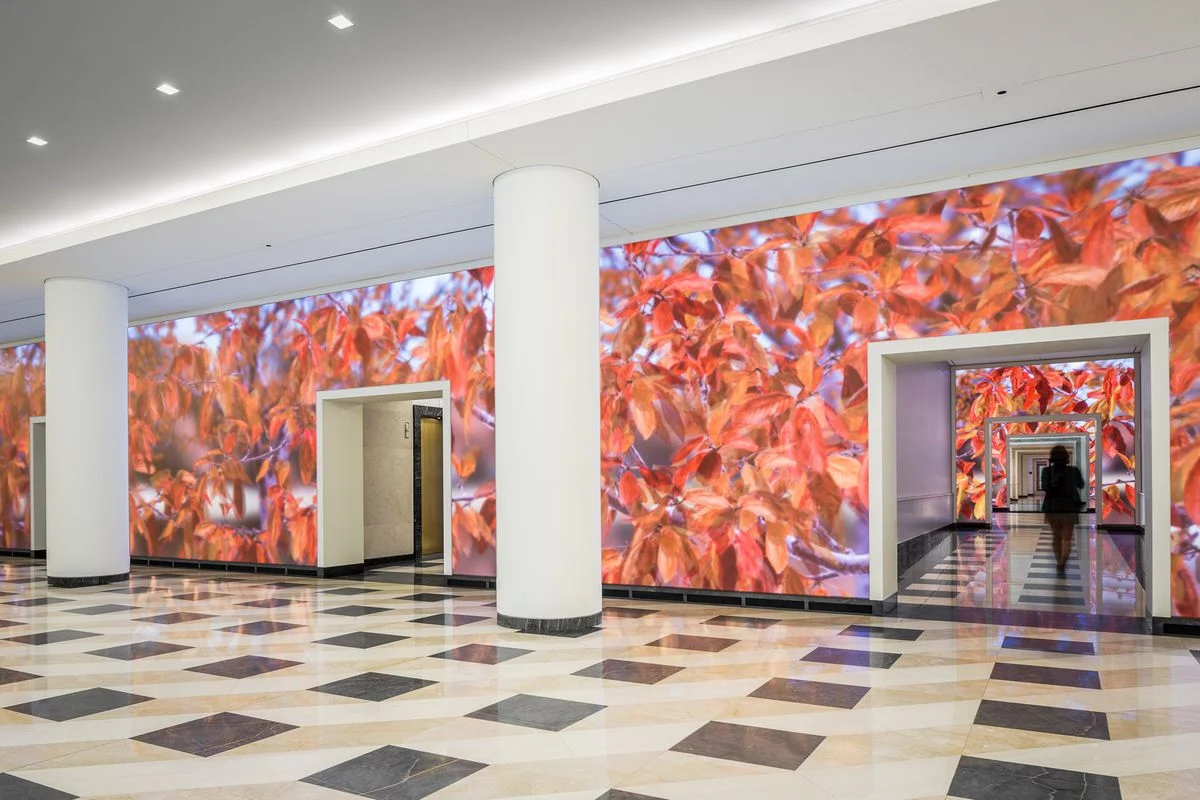 575 7th Street interior marble paving and exterior granite base cladding